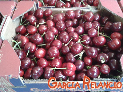 Cerezas